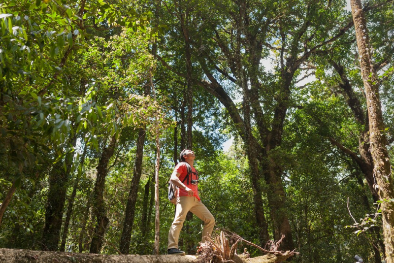 Cerita dari Lapangan: Desa yang Menjaga Hutan dan Masa Depan