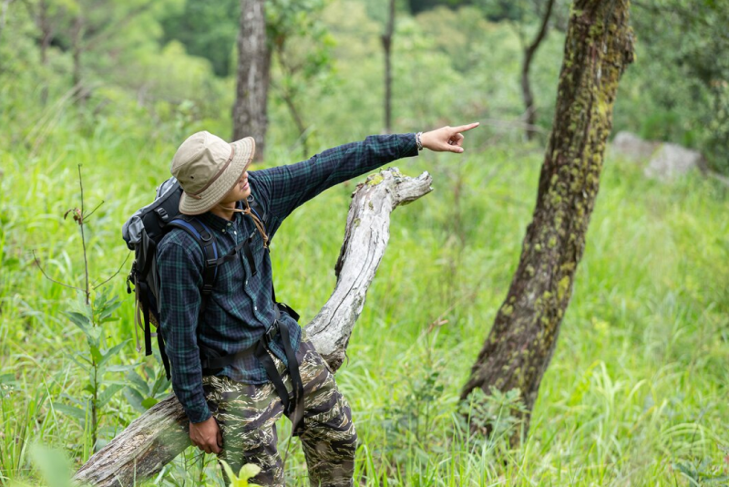 Mengakui Hutan Adat, Menguatkan Identitas Bangsa